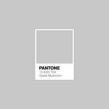 Load image into Gallery viewer, Organic Cotton Thread - Oyster Mushroom 4855 - 30/2 weight - 275 meters