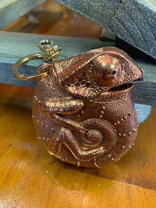 Chameleon measuring tape